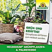 Neudorff NeudoHum Kübelpflanzenerde für Grünpflanzen und Palmen (40 l, Torffrei) | BAUHAUS