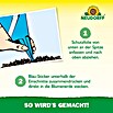 Neudorff Klebefalle Blau-Sticker (Blau, 10 Stk.) | BAUHAUS