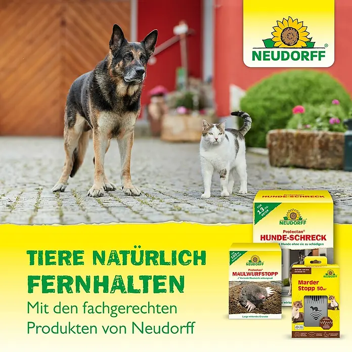 Neudorff Protectan Marder-Schreck - 200 g - Bild von Neudorff-Produkten zur Tierabwehr, darunter Hunde-Schreck, Maulwurfstopp und Marder Stopp, präsentiert mit Hund und Katze.