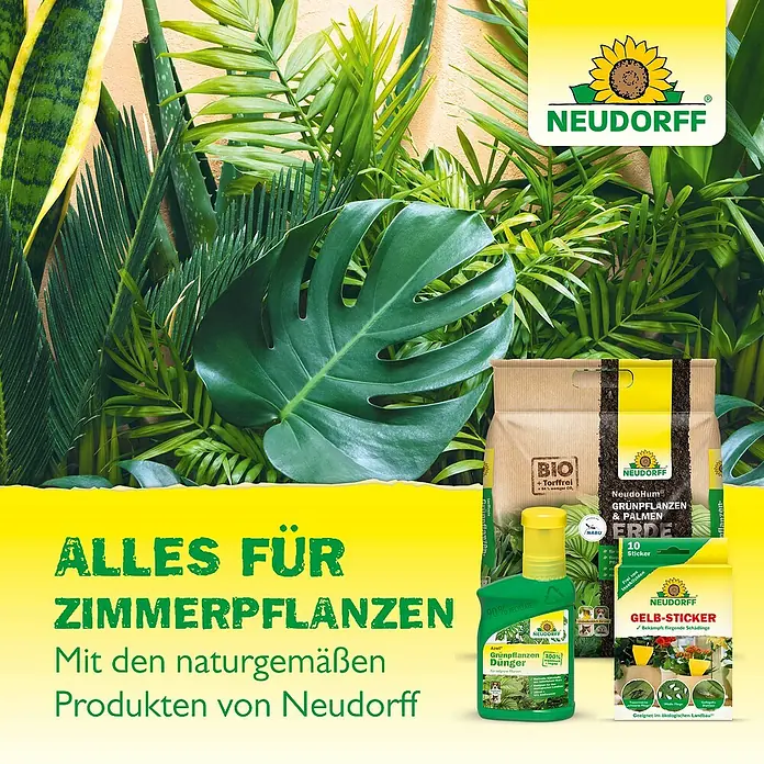 Neudorff NeudoHum Hochbeeterde - 40 l - Neudorff-Produktpalette für Zimmerpflanzen: Dünger, Erde und Gelb-Sticker für gesunde, schädlingsfreie Pflanzen.