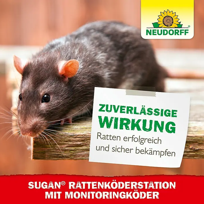 Neudorff Sugan Rattenfalle Köderstation & Duftköder - Schlagfalle, Metall - Rattenbekämpfung mit der Sugan® Rattenköderstation von Neudorff: Zuverlässige Wirkung und erfolgreiche Bekämpfung von Ratten.