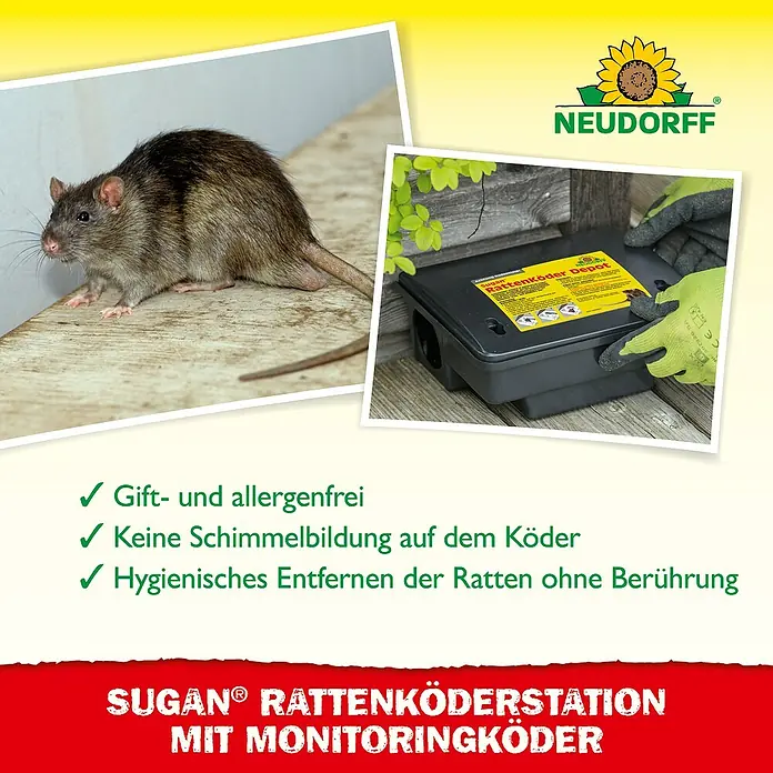 Neudorff Sugan Rattenfalle Köderstation & Duftköder - Schlagfalle, Metall - Eine Ratte neben der Sugan Rattenköderstation mit Monitoringköder von Neudorff.