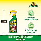 Neudorff BioKraft Grundstoff Natron (500 ml) | BAUHAUS