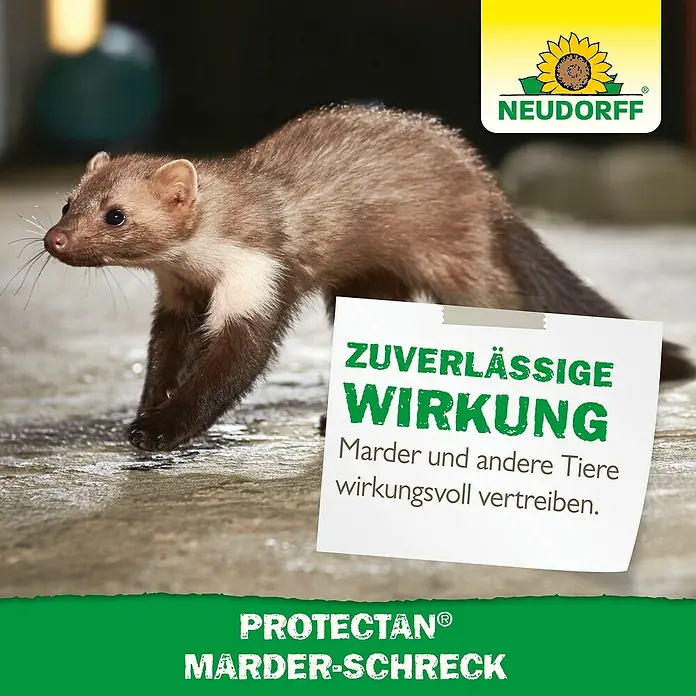 Neudorff Protectan Marder-Schreck - 200 g - Marderschreck von Neudorff: Zuverlässige Wirkung zur Vertreibung von Mardern und anderen Tieren.