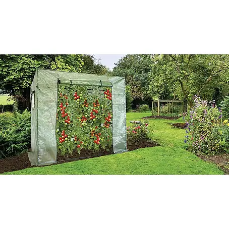 Invernadero para tomateras