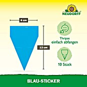 Neudorff Klebefalle Blau-Sticker (Blau, 10 Stk.) | BAUHAUS
