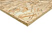 OSB-Platte Fixmaß stumpf (Holzmix, 1 250 x 625 x 12 mm) | BAUHAUS