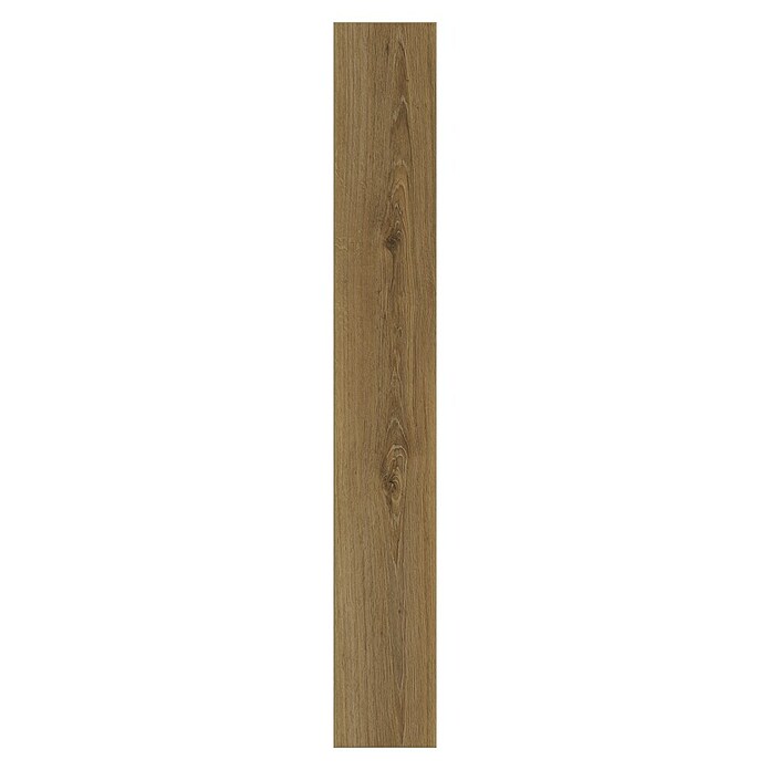 LOGOCLIC Edition Laminat Family (Lagoon, Landhausdiele, 1 288 x 245 x 7 mm) | BAUHAUS