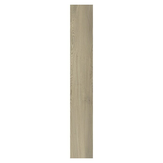 LOGOCLIC Edition Laminatmuster Twilight Oak (300 x 245 x 8 mm, Landhausdiele) | BAUHAUS