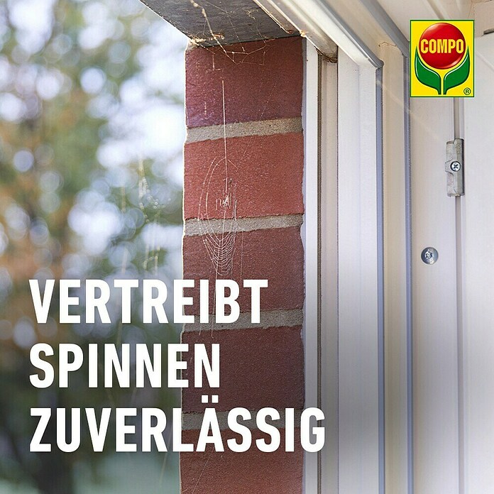 Compo Anti-Spinnen-Spray Spinnen-Raus (750 ml) | BAUHAUS