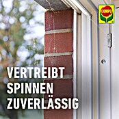 Compo Anti-Spinnen-Spray Spinnen-Raus (750 ml) | BAUHAUS