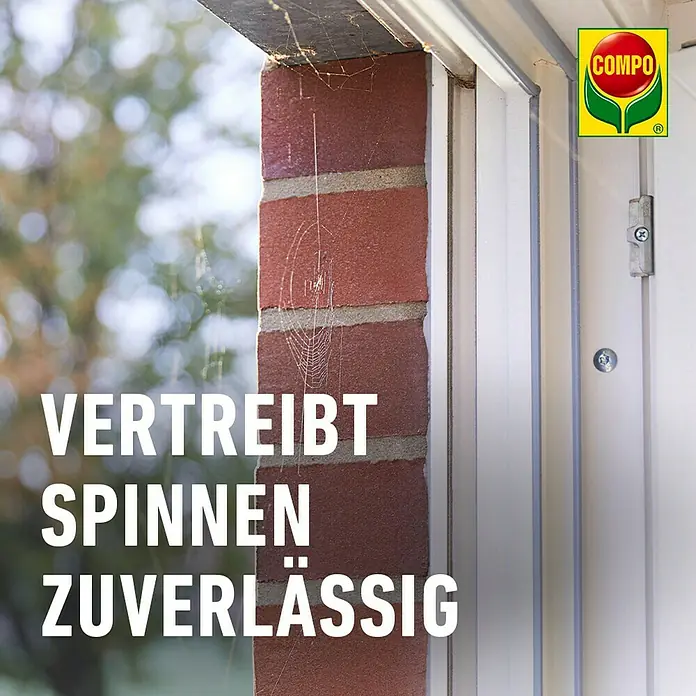 Compo Anti-Spinnen-Spray Spinnen-Raus - 750 ml - COMPO: Vertreibt Spinnen zuverlässig! Für ein Zuhause ohne Spinnen. Effektive Lösung zur Spinnenabwehr.