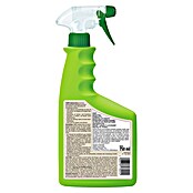 Compo Anti-Spinnen-Spray Spinnen-Raus (750 ml) | BAUHAUS