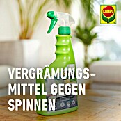 Compo Anti-Spinnen-Spray Spinnen-Raus (750 ml) | BAUHAUS