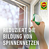 Compo Anti-Spinnen-Spray Spinnen-Raus (750 ml) | BAUHAUS