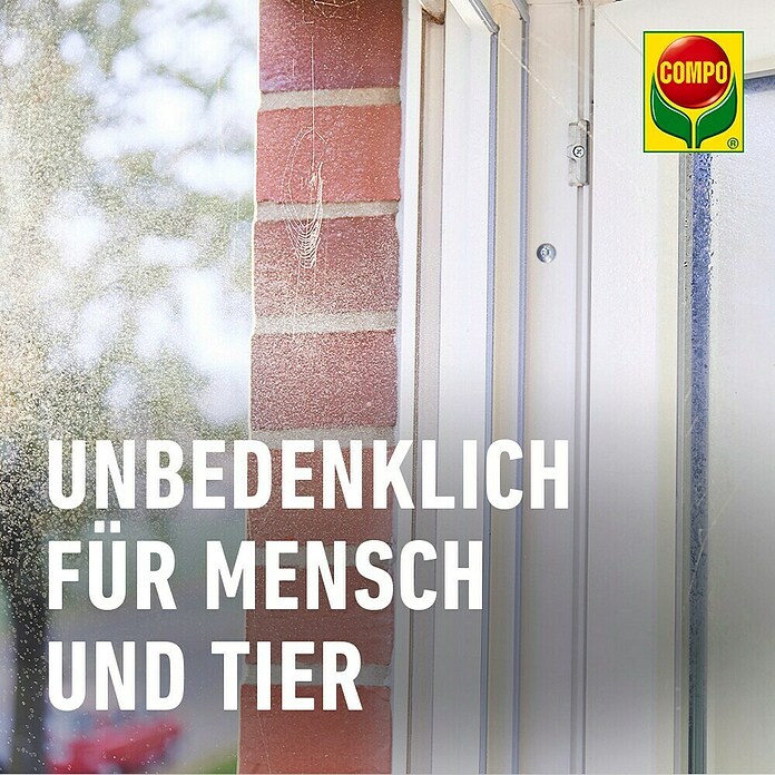 Compo Anti-Spinnen-Spray Spinnen-Raus (750 ml) | BAUHAUS