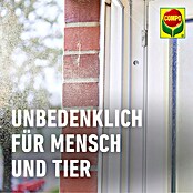 Compo Anti-Spinnen-Spray Spinnen-Raus (750 ml) | BAUHAUS