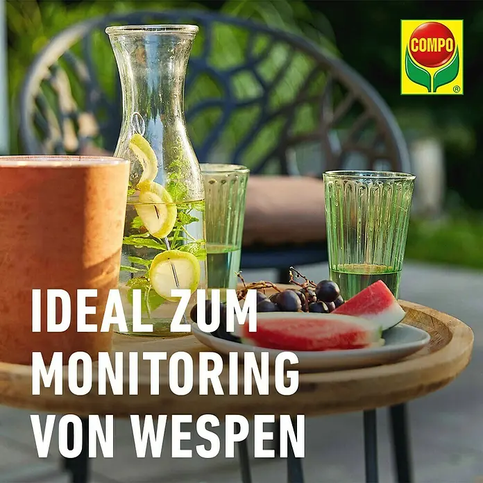 Compo Wespenfallen-Lockstoff Nachfüllpack N - Passend für: Compo Wespenfalle N - Ein Tisch mit Getränken und Obst. Compo Wespenfalle zur Überwachung von Wespen. Ideal für den Einsatz im Freien.