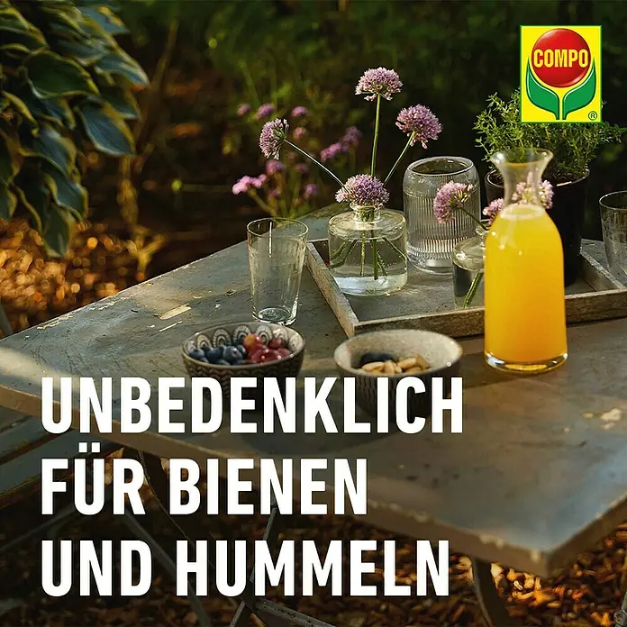 Compo Wespenfallen-Lockstoff Nachfüllpack N - Passend für: Compo Wespenfalle N - Gartentisch mit Blumen, Getränken und Snacks, beworben von COMPO, der für Bienen und Hummeln unbedenklich ist.