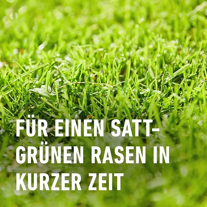 Compo Rasendünger Turbo - 5 kg, Max. Anwendungsfläche: 130 m² - Sattgrüner Rasen im Handumdrehen! Das Bild zeigt saftig grünen Rasen, der Vitalität und Gesundheit verspricht. Ideal für Gartenliebhaber.