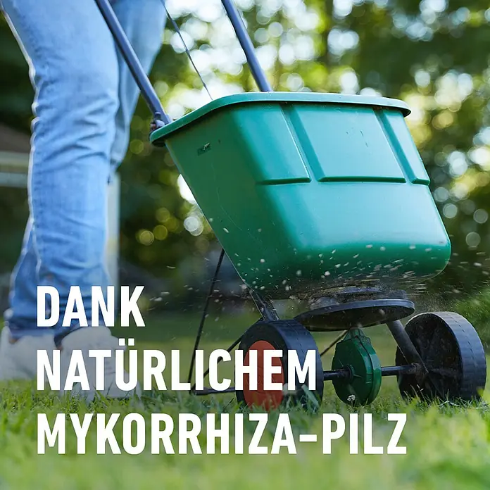 Compo Rasendünger Turbo - 5 kg, Max. Anwendungsfläche: 130 m² - Grüner Rasenstreuer im Einsatz. Dank natürlichem Mykorrhiza-Pilz für gesundes Wachstum und kräftige Pflanzen.