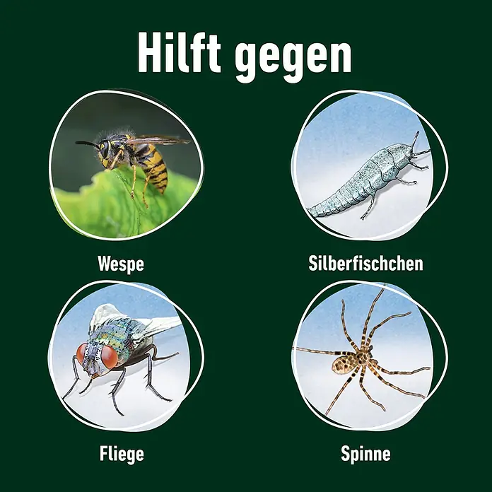 Compo Wespen-Spray WespenStopp - 500 ml - Bild einer Wespe, Silberfischchen, Fliege und Spinne, die mögliche Schädlinge darstellen, gegen die ein Produkt hilft.