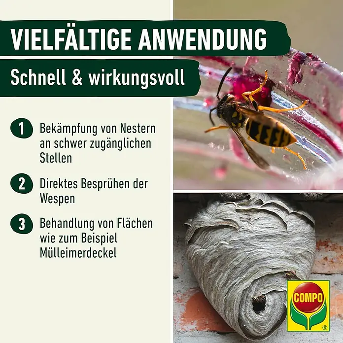 Compo Wespen-Spray Schaum-Gel - 500 ml online kaufen bei BAUHAUS