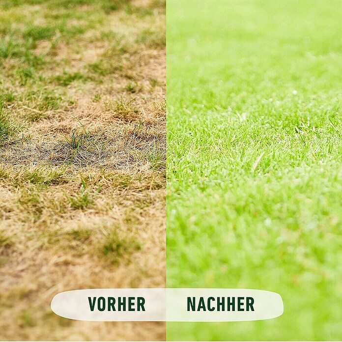 Compo Bio Rasendünger (10,05 kg, Max. Anwendungsfläche: 500 m²) | BAUHAUS