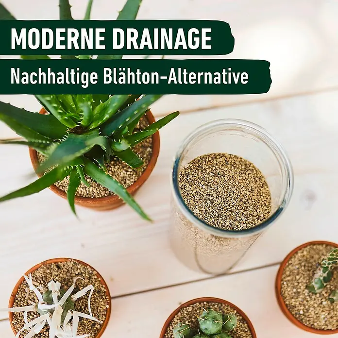 Compo Bio Pflanzgranulat Granuplant Kakteen - 6 l - Nahaufnahme eines Glases mit modernen Drainagematerial für Pflanzen, umgeben von Topfpflanzen auf einem weißen Holztisch.