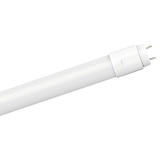 Green Tech LED cev (10 W, 588 mm, Hladno bela, 1.000 lm)