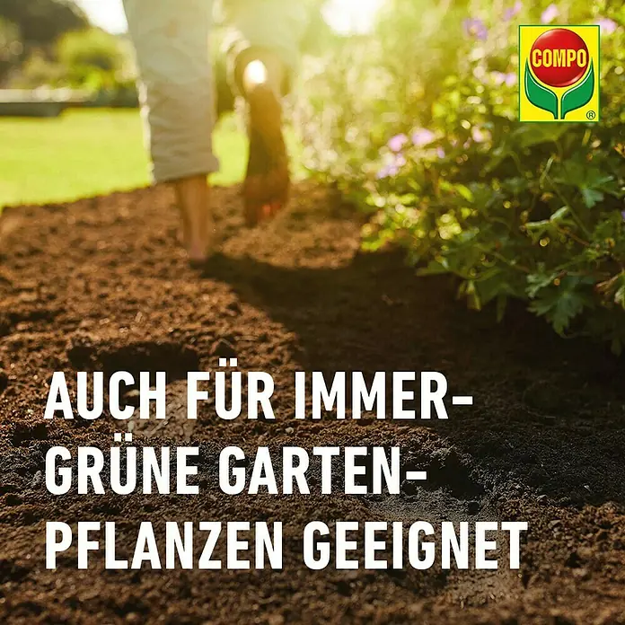 Compo Sana Zimmerpflanzenerde - 60 l - Compo Gartenerde: Auch für immergrüne Gartenpflanzen geeignet. Bodenverbesserer für vitales Wachstum und üppige Blütenpracht.