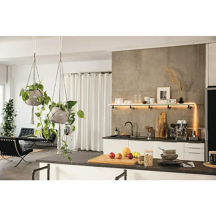 Lechuza Blumenampel Makramee Pure - Länge: 90 cm, Baumwolle, Schwarz - Zwei Zimmerpflanzen in grauen Lechuza-Übertöpfen hängen von der Decke und bringen Grün in die moderne Küche mit Kochutensilien und Obst.