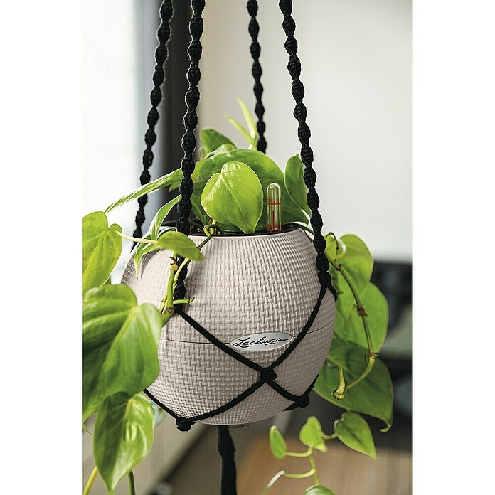 Lechuza Blumenampel Makramee Boho (Länge: 120 cm, Baumwolle, Grau) | BAUHAUS