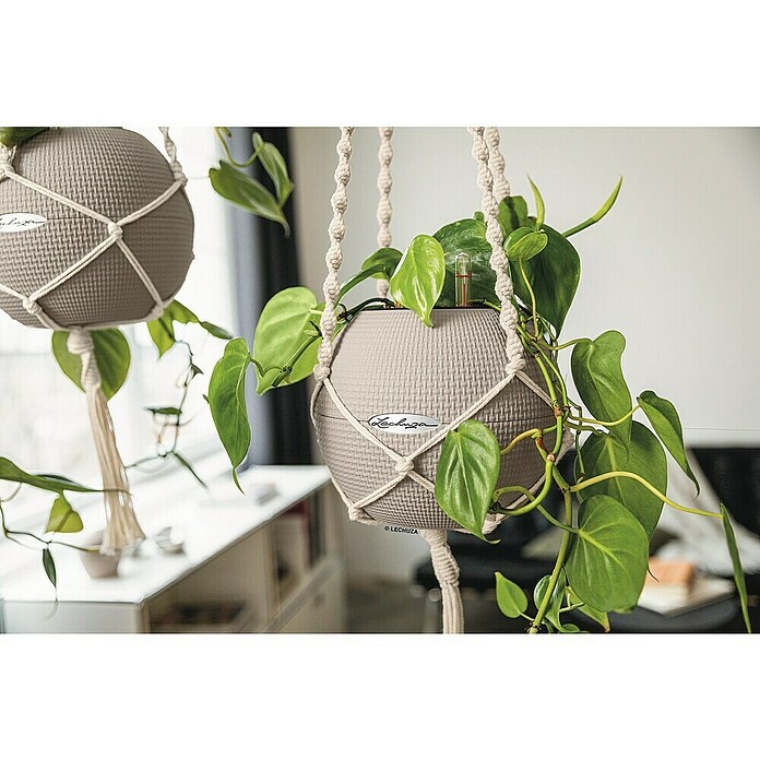 Lechuza Blumenampel Makramee Pure (Länge: 120 cm, Baumwolle, Grau) | BAUHAUS