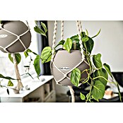 Lechuza Blumenampel Makramee Pure (Länge: 120 cm, Baumwolle, Grau) | BAUHAUS