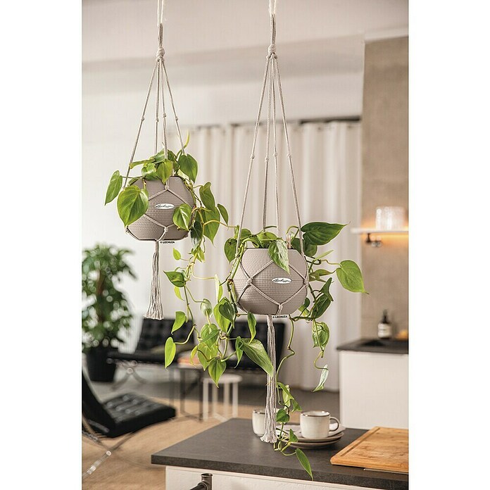 Lechuza Blumenampel Makramee Pure (Länge: 120 cm, Baumwolle, Grau) | BAUHAUS