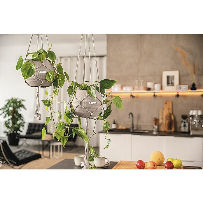 Lechuza Blumenampel Makramee Boho (Länge: 90 cm, Baumwolle, Grau) | BAUHAUS