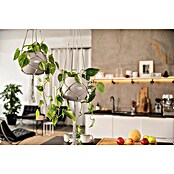 Lechuza Blumenampel Makramee Boho (Länge: 90 cm, Baumwolle, Grau) | BAUHAUS