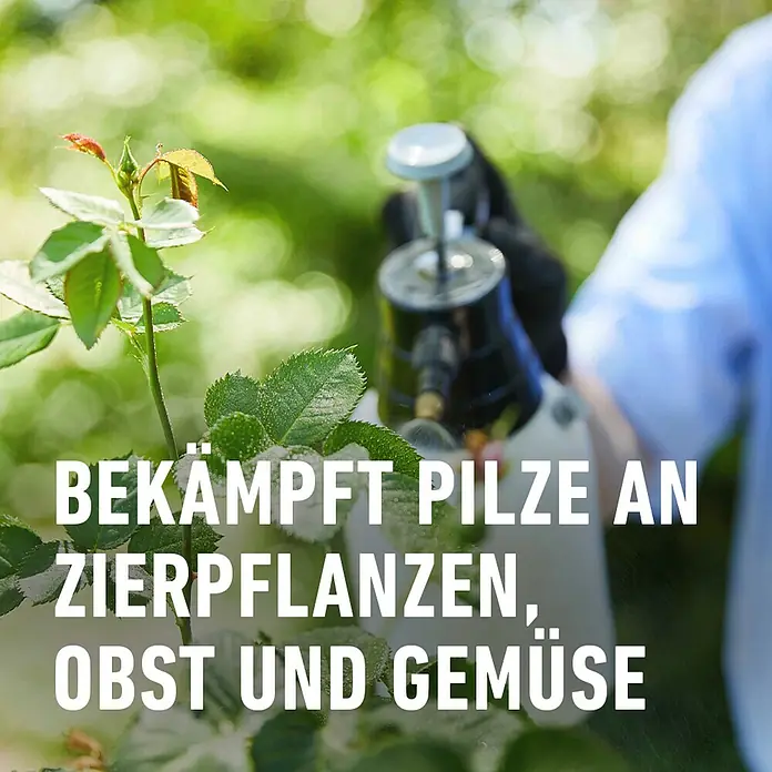 Compo Pilzfrei Duaxo Universal - 750 ml - Pilzbekämpfungsmittel für Zierpflanzen, Obst und Gemüse in einer Sprühflasche. Für gesunde und pilzfreie Pflanzen.