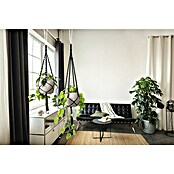 Lechuza Blumenampel Makramee Boho (Länge: 120 cm, Baumwolle, Grau) | BAUHAUS