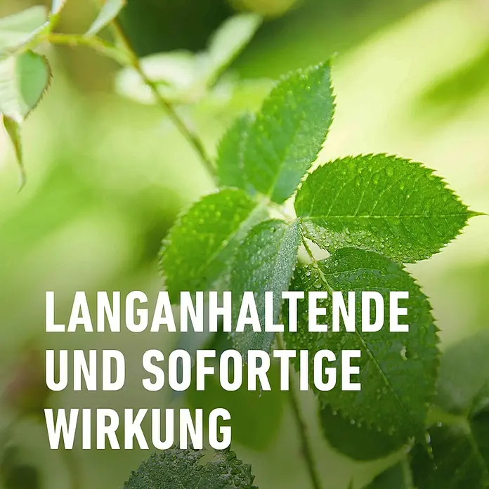 Compo Pilzfrei Duaxo Universal - 750 ml - Grüne Blätter mit Text "Langanhaltende und sofortige Wirkung", die eine lang anhaltende und sofortige Wirksamkeit des Produkts suggerieren.