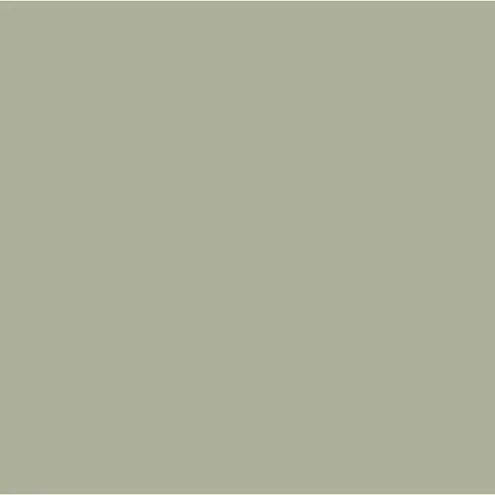 Madison Sitzkissen Florance Panama - 47 x 47 x 8 cm, Textil, Sage - Einfarbiges, neutrales Hintergrundbild in einem gedeckten Grünton, ideal für minimalistische Designs und als dezenter Untergrund.