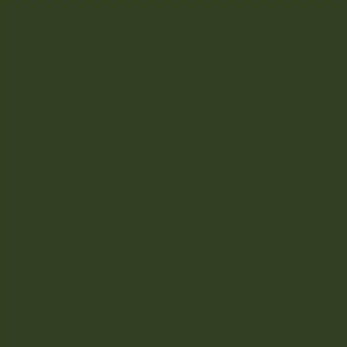 Madison Outdoor-Sitzkissen Florance Panama - Panama Green, 47 x 47 x 6 cm - Einfarbiges Bild in dunklem Olivgrün, ideal als Hintergrund oder Textur für Designprojekte. Schlichte Eleganz für vielfältige Anwendungen.