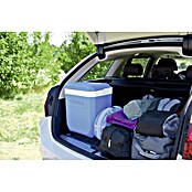 Campingaz Kühlbox Icetime Plus (26 l, 22,7 x 31,2 x 33 cm)