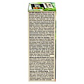 Compo Insektenvernichter Buchsbaumzünsler K.O. RAPID (75 ml) | BAUHAUS