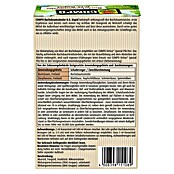 Compo Insektenvernichter Buchsbaumzünsler K.O. RAPID (75 ml) | BAUHAUS