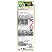 Compo Insektenvernichter Buchsbaumzünsler K.O. RAPID (75 ml) | BAUHAUS