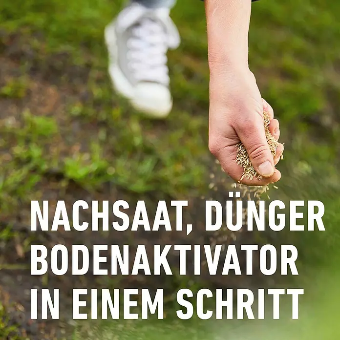 Compo Saat Vertikutier-Mix - 4 kg, 133 m² - Nachsaat, Dünger und Bodenaktivator in einem Schritt für einen gesunden, grünen Rasen.