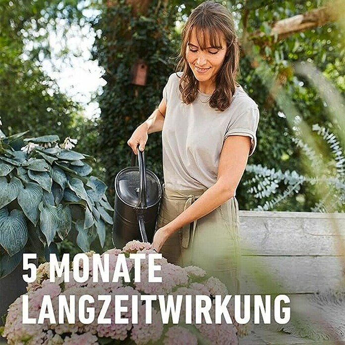 Compo Bio-Schafwolldünger Rhododendron & Hortensien (2 kg, Hortensien) | BAUHAUS