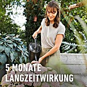 Compo Bio-Schafwolldünger Rhododendron & Hortensien (2 kg, Hortensien) | BAUHAUS